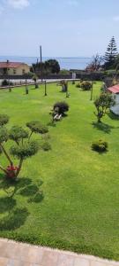 a green park with trees and plants in it at Casa Patricia in Pontevedra