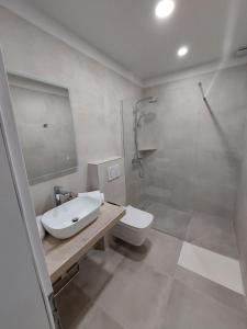 a bathroom with a sink and a shower and a toilet at Guest House Nina in Novigrad Istria