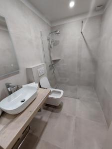 a bathroom with a sink and a shower and a toilet at Guest House Nina in Novigrad Istria