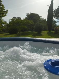 Una piscina de agua con un plato azul. en Chambre d'hôtes en Provence, au pied du Luberon "Les Coquelicots", en La Tour-dʼAigues