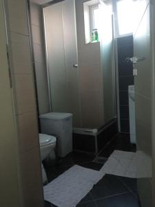 een kleine badkamer met een toilet en een douche bij Maria's Place in Bitola