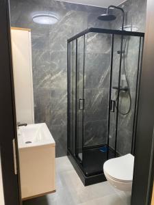La salle de bains est pourvue d'une douche, de toilettes et d'un lavabo. dans l'établissement Apartament Spokojna Przystań, à Rowy