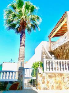 a palm tree in front of a house at Can Pantoni in Deltebre