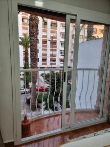 a window with a view of a palm tree at Superb studio in Rabat in Rabat