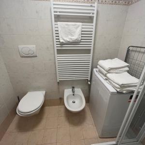 La petite salle de bains est pourvue de toilettes et d'un lavabo. dans l'établissement Trentino Apartments - San Lorenzo, à Folgaria