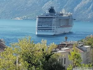 a cruise ship in a large body of water at Apartment Bay View in Kotor