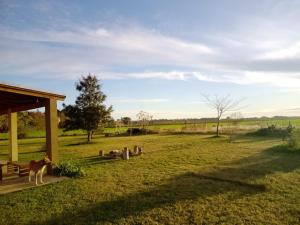a gazebo in a field with a horse in the grass at Casa rústica in San Pedro