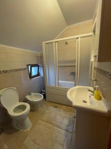 a bathroom with a toilet and a sink and a shower at Mariner House in Plav +32 photos