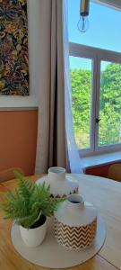 a table with two dishes and a plant on it at Le Costa Rica - Grand appartement centre ville in Boulogne-sur-Mer +3 photos