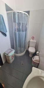 a small bathroom with a toilet and a shower at Retas apartment in Kremasti