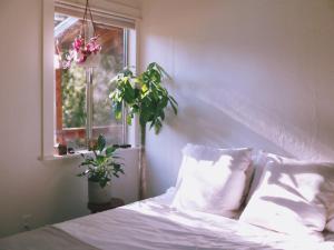 1 dormitorio con cama, ventana y planta en The Land - Luxury Retreat Center In Beautiful Nature - Bay Area Northern California, en Philo