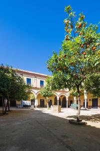 een sinaasappelboom voor een gebouw bij Apartamento Historico Garaje y WIFI in Sanlúcar de Barrameda