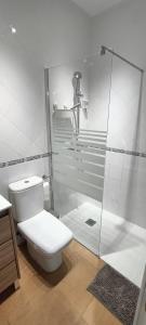 a bathroom with a toilet and a glass shower at Mi Casita del Cabo in El Cabo de Gata