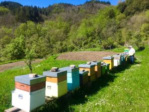Kép Agriturismo Giandriale szállásáról Tavaronéban a galériában