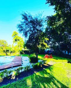 姆托瓦姆布的住宿－無花果經濟型酒店，草上有一棵树和长凳的公园