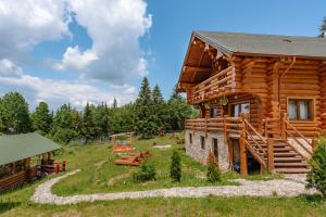 a log cabin with a picnic table in front of it at Cabana Mirajul Apusenilor in Dealu Negru