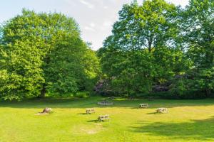 three park benches sitting in a field with trees at Adamton Country House Hotel in Prestwick +27 photos