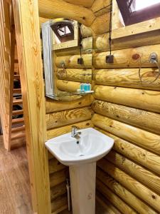 ein Badezimmer mit einem Waschbecken in einer Blockhütte in der Unterkunft Eco House Borjomi in Bordschomi