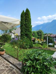 een tuin met twee bomen en planten in een tuin bij Apartma Nena in Bovec +24 foto's