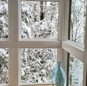 a window with a glass vase sitting on a window sill at Lakefront Sunsets, Hot Tub, Pool Table, Kayaks in Lake Ariel