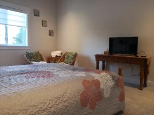 TV a/nebo společenská místnost v ubytování DELOVELY B&B