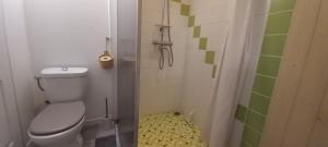 Un pequeño baño con inodoro y ducha. en Chambre avec terrasse Chez Anne, en Rennes 13 fotos más