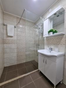 bagno con lavandino bianco e doccia di R&S Apartments a Herceg-Novi