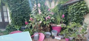 um jardim com flores cor-de-rosa e vasos de plantas em Le Relais des Fontaines em Nouans-les-Fontaines