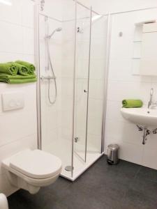 La salle de bains est pourvue d'une douche, de toilettes et d'un lavabo. dans l'établissement Ferienwohnung Anna, à Winterberg
