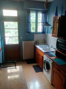 eine Küche mit einer Spüle und einer Waschmaschine in der Unterkunft Bordeaux Rive Droite in Cenon
