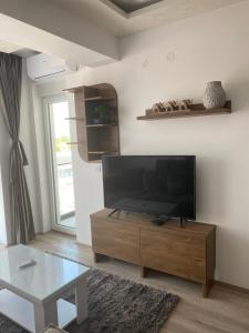 TV a/nebo společenská místnost v ubytování Milojević Apartman