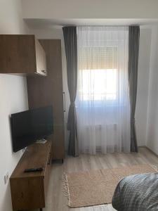 TV a/nebo společenská místnost v ubytování Milojević Apartman