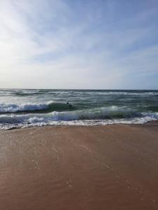 una persona montando una ola en el océano en Joli T2 38 m2 rénové idéalement situé, en Seignosse 1 foto más