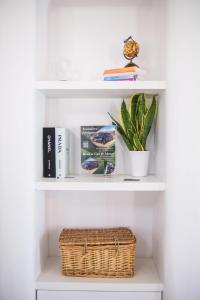 a shelf with a basket and books and a plant at Villa Yialos in Antiparos Town