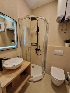 een badkamer met een douche, een wastafel en een toilet bij Apartment Ana - Gradac in Gradac