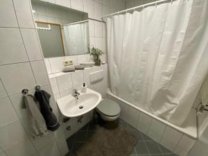 a bathroom with a sink and a toilet and a shower at GHR Apartment in Simbach am Inn