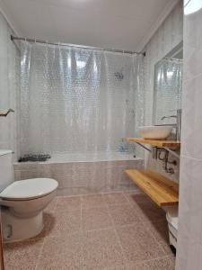 a bathroom with a toilet and a sink and a shower at Apartamento CA VALEN 1 in Peñíscola