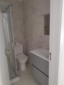 e bagno con servizi igienici, lavandino e doccia. di BUS STATION Suites & Studios a Coimbra