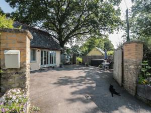 a black cat walking in the driveway of a house at Nuthatch in Honiton