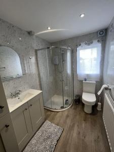 a bathroom with a shower and a toilet and a sink at The Moorlands in Dundalk