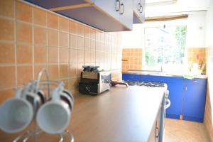 A kitchen or kitchenette at Danube River house