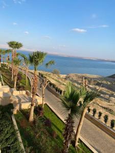 Dead Sea Jordan Sea View Samarah Resort Traveler Award 2024 winner في السويمة: مجموعة من أشجار النخيل بجوار المحيط