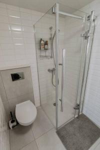 a white bathroom with a shower and a toilet at Apartment Laizor in Staszów