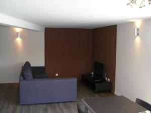 een woonkamer met een bank en een tv bij Piscine chauffée au calme sur un domaine viticole familial grande maison climatisation in Mondragon
