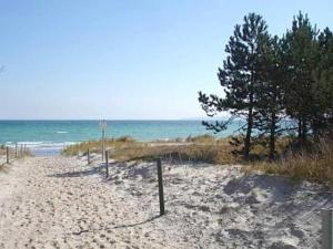 a sandy beach with trees and the ocean at Ruegen_Fewo 220 in Poseritz