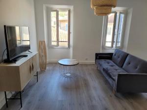 a living room with a couch and a flat screen tv at Magnifique appartement t2 in Collobrières