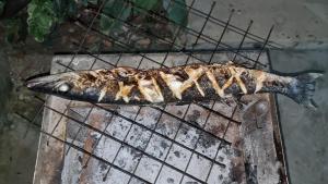 ein Fisch auf einem Grill in der Unterkunft Sunny Villa Matemwe in Matemwe