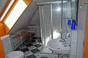 a bathroom with a shower and a sink and a toilet at Ruegen_Fewo 137 in Zudar