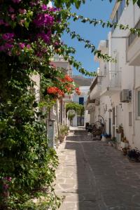 パリキアにあるParikia's Cosy Jewelの建物脇の花の小路