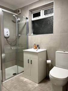 a bathroom with a shower and a toilet and a sink at The Art House 5 Galway, Bohermore in Galway